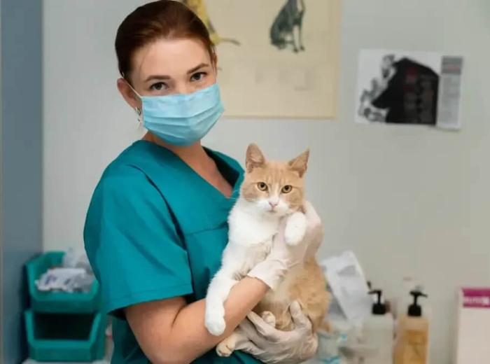 Veterinarian Urgent Care