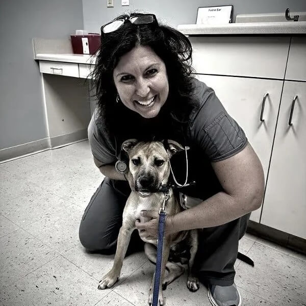 Veterinarian with a patient