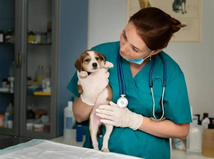 Popular annual things to do if you are new to Woodland Hills, Montgomery, AL