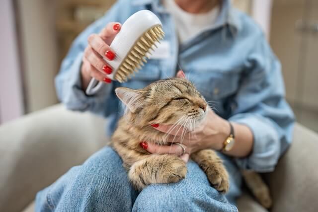 Grooming