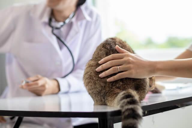 Urgent Care